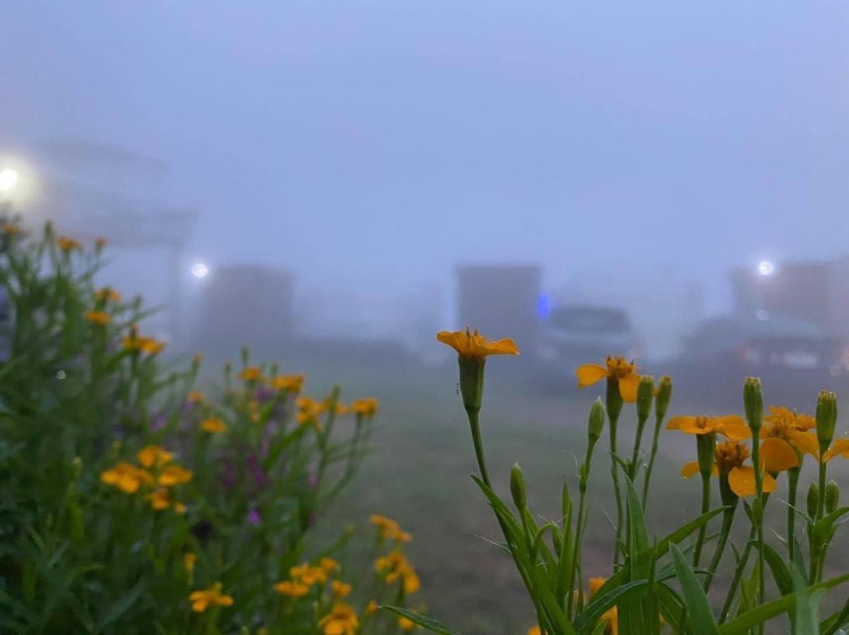 Hotel Mon Jam Memory Camp Zewnętrze zdjęcie
